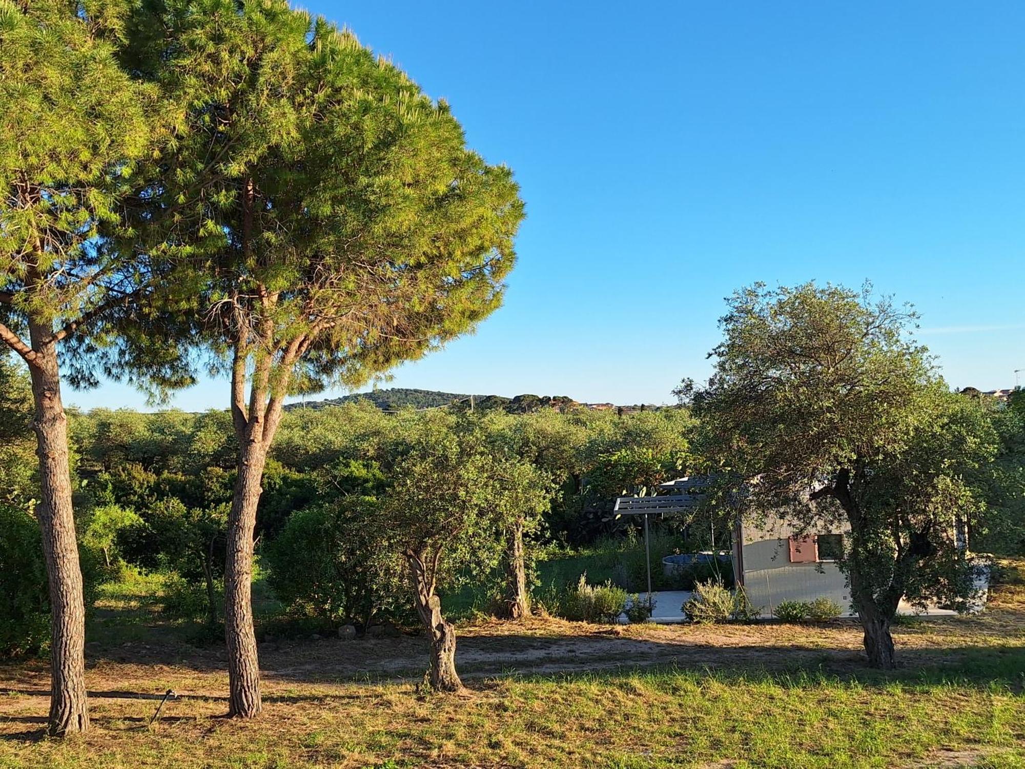 Casale Valverde Alghero Esterno foto